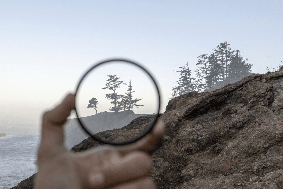 Advanced Search Optimization
