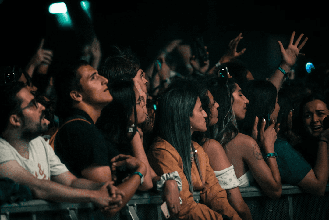 Audience Sentiment Analysis
