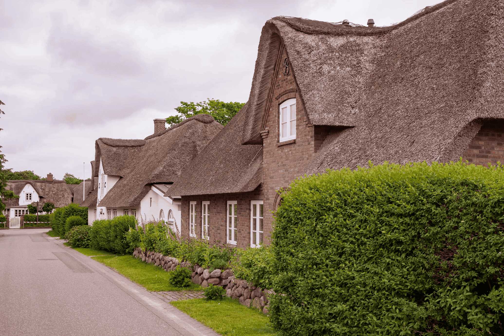 AI Price Forecasting