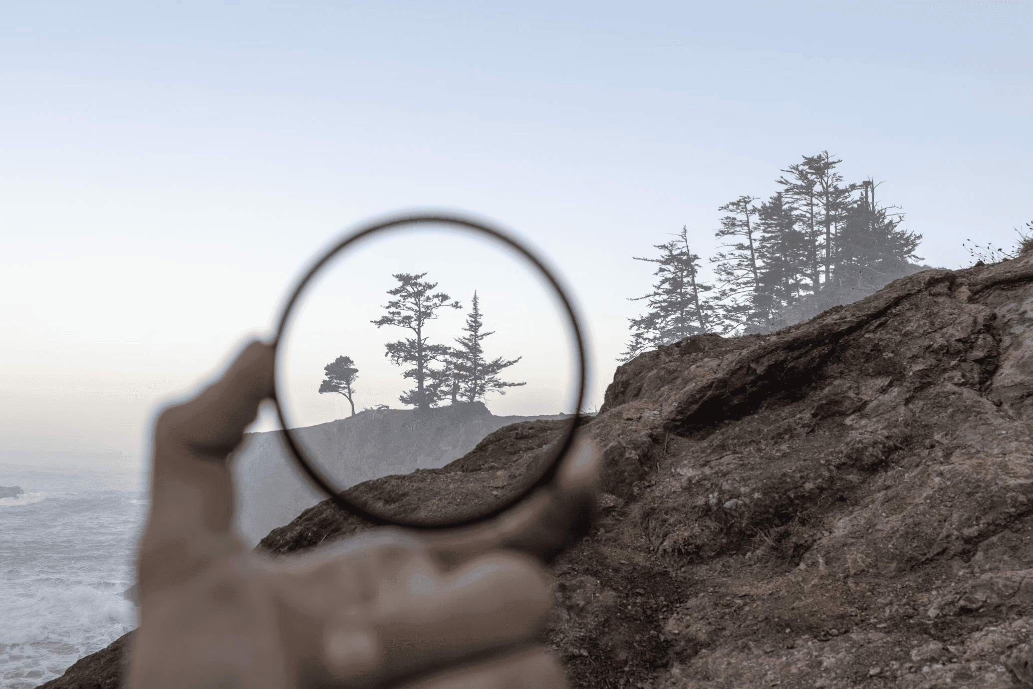 Advanced Search Optimization